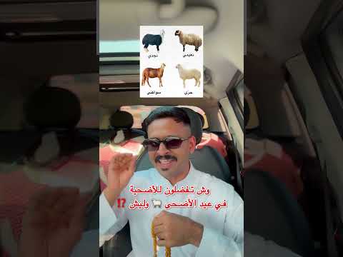 وش تفضلون للأضحية في عيد الأضحى 🐑 ؟؟-#عيد #عيد_الاضحى thumbnail