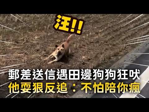 郵差送信遇田邊狗狗狂吠　他耍狠反追：不怕陪你瘋｜#寵物雲 thumbnail