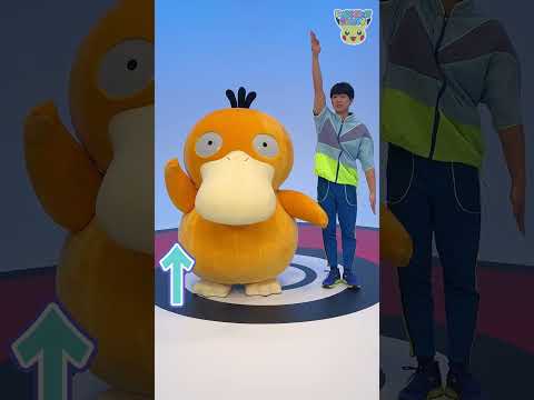 Pokémon Shorts - with Psyduck and Makoto - #PokemonFunVideo #PokemonKidsTV​ thumbnail
