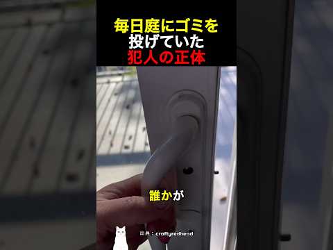 毎日庭にゴミを投げていた犯人の正体 thumbnail