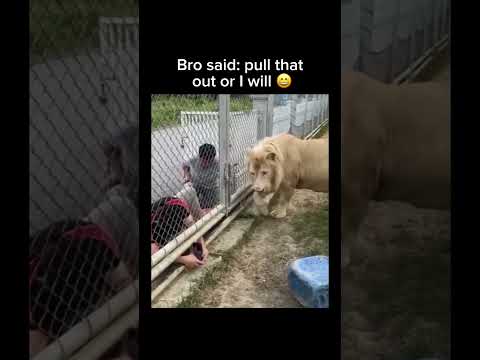 He wasn't asking twice ? follow for more #shorts thumbnail