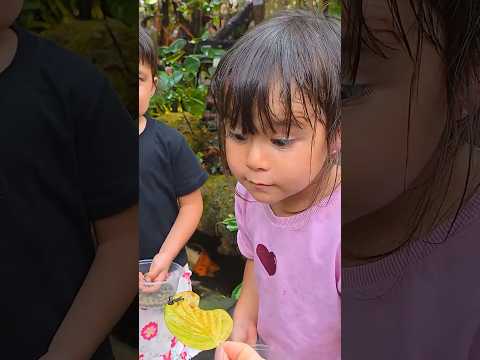 Kids Learn Frog Life Cycle 🐸✨ thumbnail