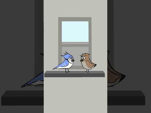 Vögel, die um 6 Uhr morgens streiten ?? #deutsch #animation #lustig thumbnail