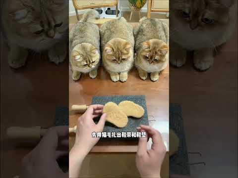 【牛奶是只猫】我家猫咪也有第一双高跟鞋啦 thumbnail