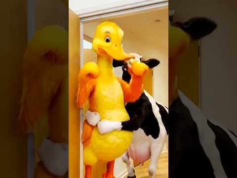 Marvelous Dancing Polish Cow funny DUCK cow dance Cow Song Videos cow farm giant strawberry asmr thumbnail