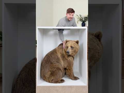 Guess the Animal thumbnail