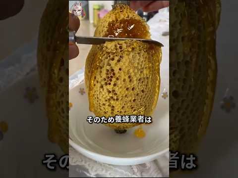 巣蜜をそのまま食べてはいけない理由 thumbnail