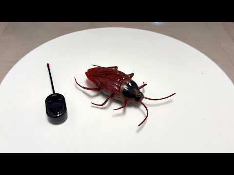 Remote Control Cockroach Toy 2026 -  Realistic Animal Prank Tricky Toy thumbnail
