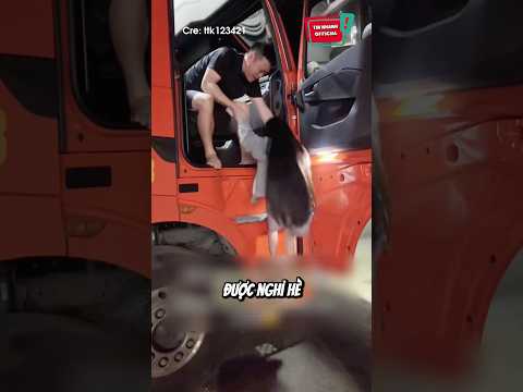 Nghỉ hè được bố đưa đi phụ xe container: 😆 #shorts thumbnail