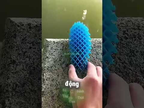 Bí Ẩn Về Chú Bọ Màu Vàng "Hệ Tâm Linh" 😳 thumbnail