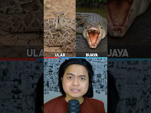 Mana Hewan yg Lebih Bahaya?? thumbnail