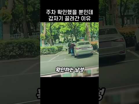 "라인 맞나 보려다가.." 주차중인 차주가 차에서 내리자 벌어진 일 thumbnail