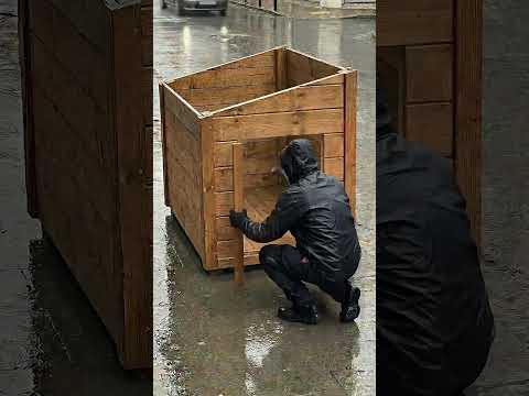 ✅ We Built a Safe Shelter for a Stray Dog in the Rain thumbnail