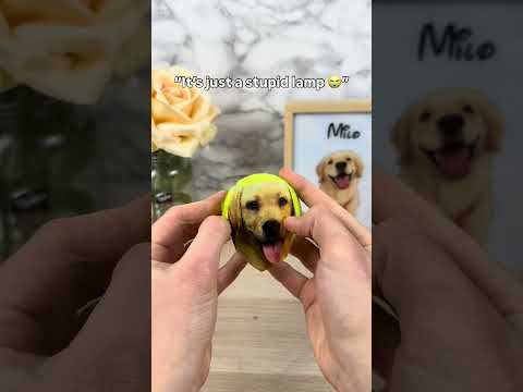 The last one made me cry ? #pets #dogloss #dogs #dogsoftiktok #giftsideas thumbnail