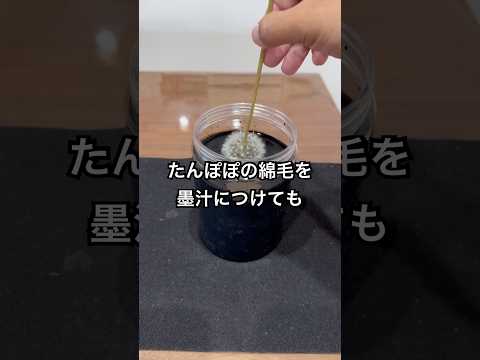 たんぽぽの綿毛を墨汁につけてみた #shorts #おもしろ動画 #やってみた thumbnail