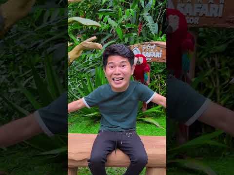 Siapa Yang Paling Banyak Meletakan Burung Di Tangan #alethaabew thumbnail