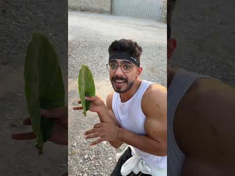 زعيم حارة النعناع 😂🤣 thumbnail