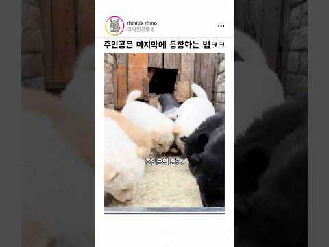 주인공은 마지막에 등장하는 법 ㅋㅋㅋ thumbnail