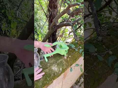 How to make fresh juice at home. ✅ Extra Large Stainless Steel Manual Juicer ( # 3089 ) thumbnail