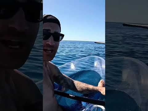 Transparent Kayak VS Whale.. thumbnail