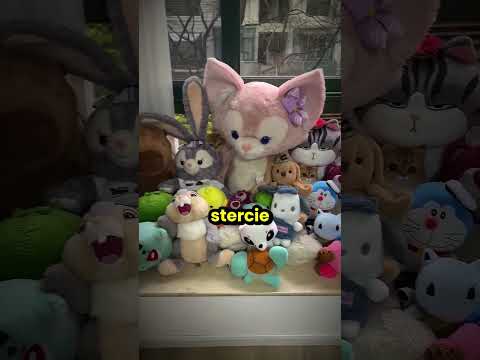 Te kotki bawiły się z właścicielem w chowanego! 😮 thumbnail