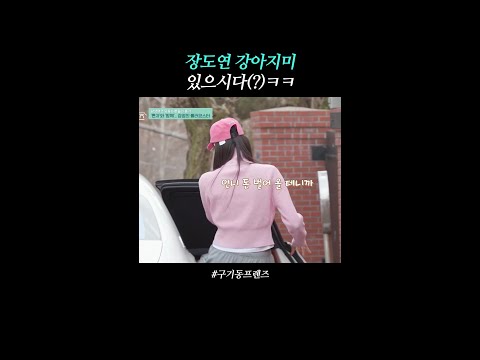 댕댕미 넘치는 장도연ㅋㅋ | #구기동프렌즈 thumbnail