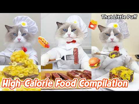 Ultimate High-Calorie Food Compilation🍔🔥Every Bite Is Rich Indulgent & Delicious! | That Little Puff thumbnail