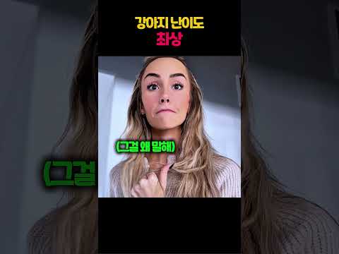 강아지 난이도 최상 thumbnail