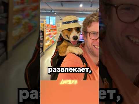 Такие блогеры нам нужны thumbnail