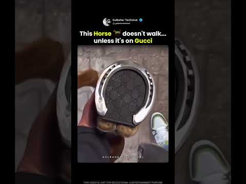 Gucci for Horses?! You Won’t Believe This 🐎🔥 thumbnail