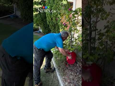 More Vancouver water restrictions may be coming thumbnail