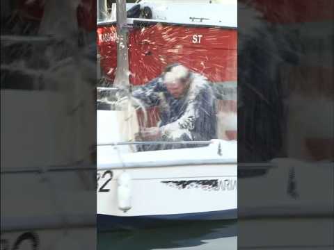 #bird #poop #prank #remigaillard 🐦 thumbnail