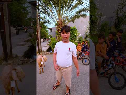 Fariz serahkan kambingnya semoga berkah hh #shorts thumbnail