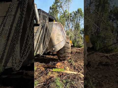 SKIDDER en zonas de difícil acceso 🌲🏔️#forest #skidder #harvester #lumberjack #logging #forestry thumbnail