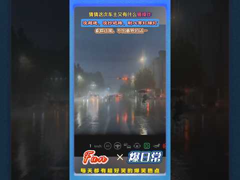 猜猜这次车主又有什么骚操作！?雨天平稳行车，没超速、没抄近路，安心等红绿灯，结果……！还说你没特权？# 搞笑行车瞬间 #理想车主迷惑行为 #雨天行车趣事 #道路迷惑行为 thumbnail