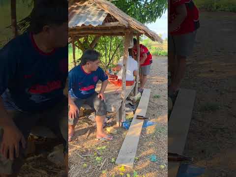 อ้ายเอาบักม่วงมาฝากเห็นเทอจ่มยากกิน #funny #ขึ้นหน้าฟีด thumbnail