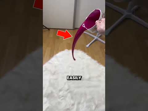This Carpet Won't Get Stained thumbnail