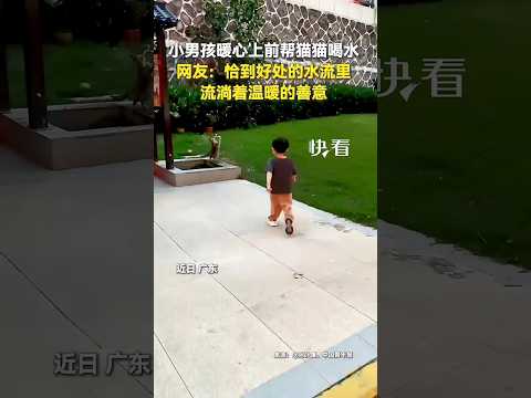 🇨🇳 男孩细心调节水流助猫饮水，恰到好处的善意温暖人心 🇬🇧 Boy Gently Adjusts Faucet to Help a Cat Drink Water thumbnail
