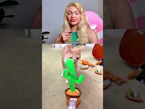 Eu não tava preparada pra isso thumbnail