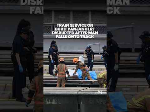 Man dies after falling in front of oncoming train at Segar LRT station thumbnail