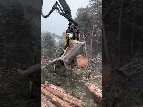 🔥This Machine Means Business | John Deere 1270G #forest #harvester #johndeere #machine #wood #tree thumbnail