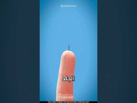 ما سر الشوكة الصغيرة thumbnail