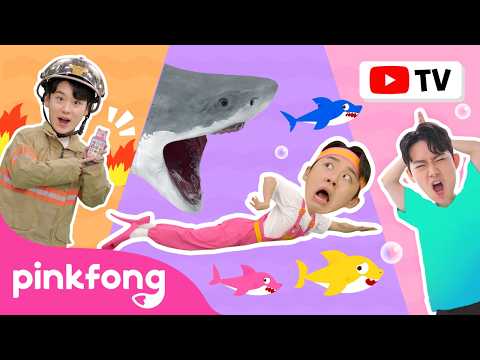 [Best of the Best] Hoi’s Playground Best Episodes 💛 | Hoi & Baby Shark Friends | Pinkfong Official thumbnail