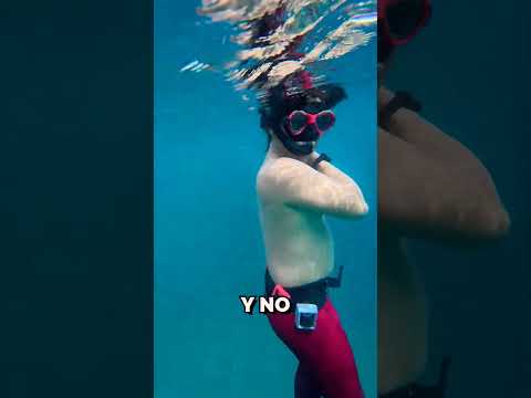 ¿Qué hacer si se te pega este pez? 😮🐟 thumbnail