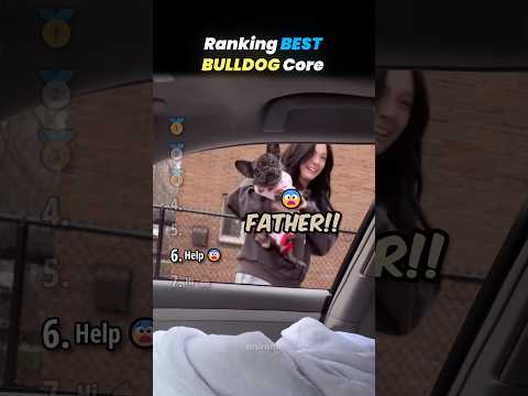 Ranking FUNNIEST BULLDOGS Core Moments!! 🐶🦴 thumbnail