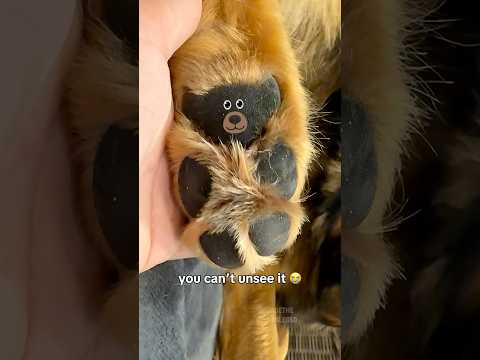 You can’t unsee it! thumbnail