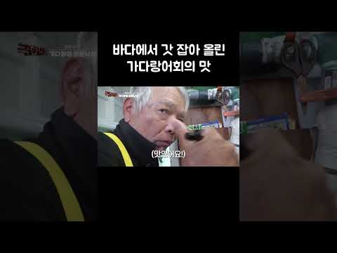 바다에서 갓 잡아 올린 가다랑어회의 맛 #shorts thumbnail