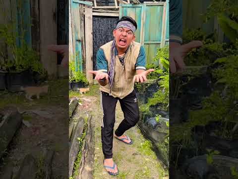 gak sengaja kicau mania ! thumbnail