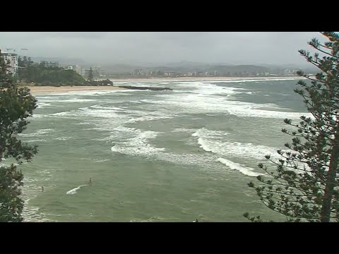Surf warning issued for Qld and NSW beaches as four-metre waves approach thumbnail