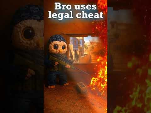 Bro Really Turned On Legal Cheats ? #csgo #cs2 #skinsmonkey #cs2memes thumbnail
